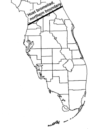 Florida bromeliad range
